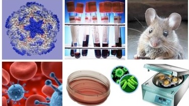 Laboratory & Biological Safety