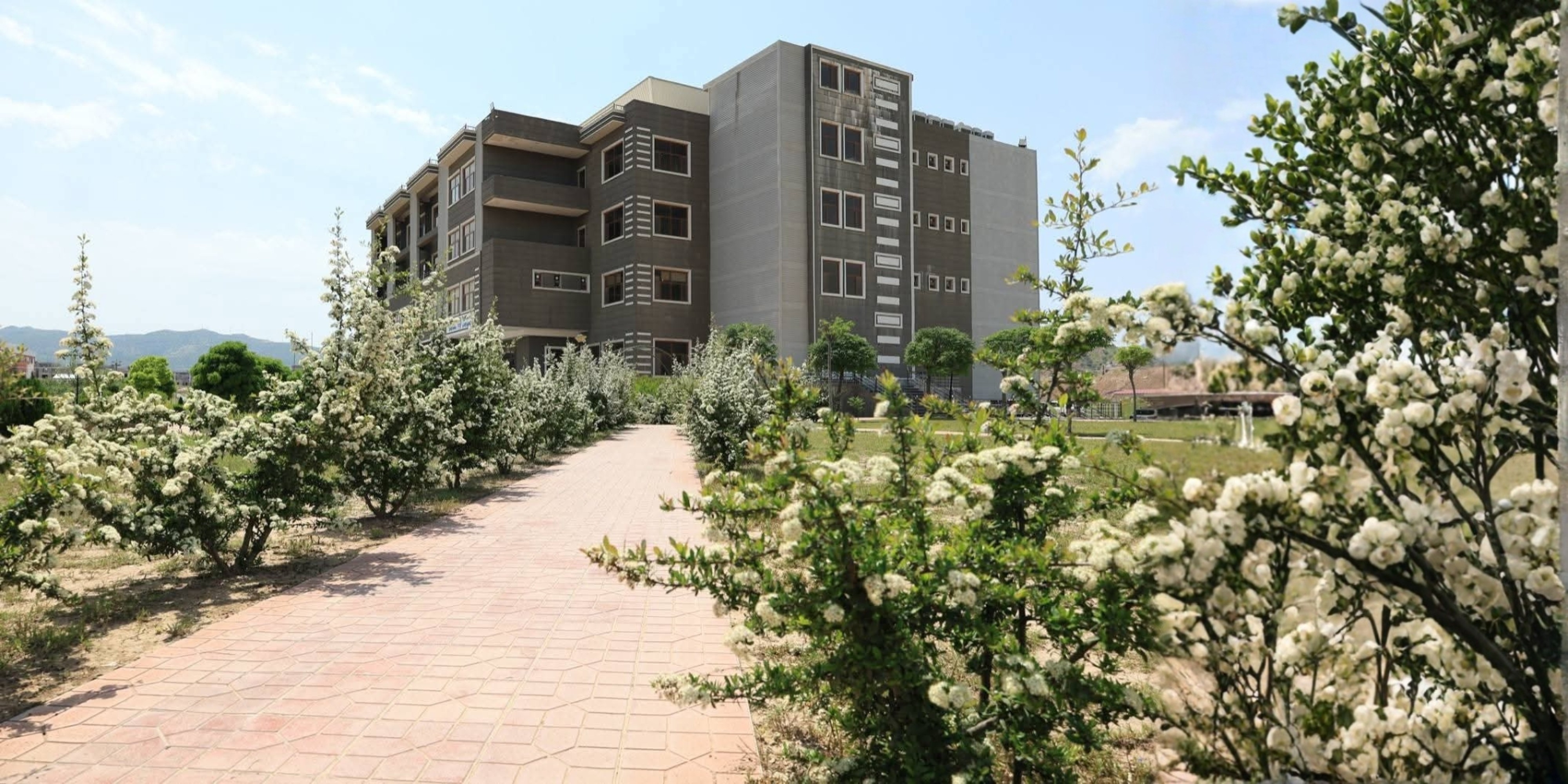 University of Zakho Launches “One Thousand Trees” Initiative Within Sustainable Development Goals Framework