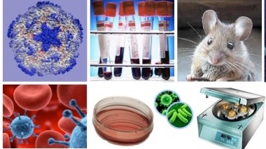 Biological safety